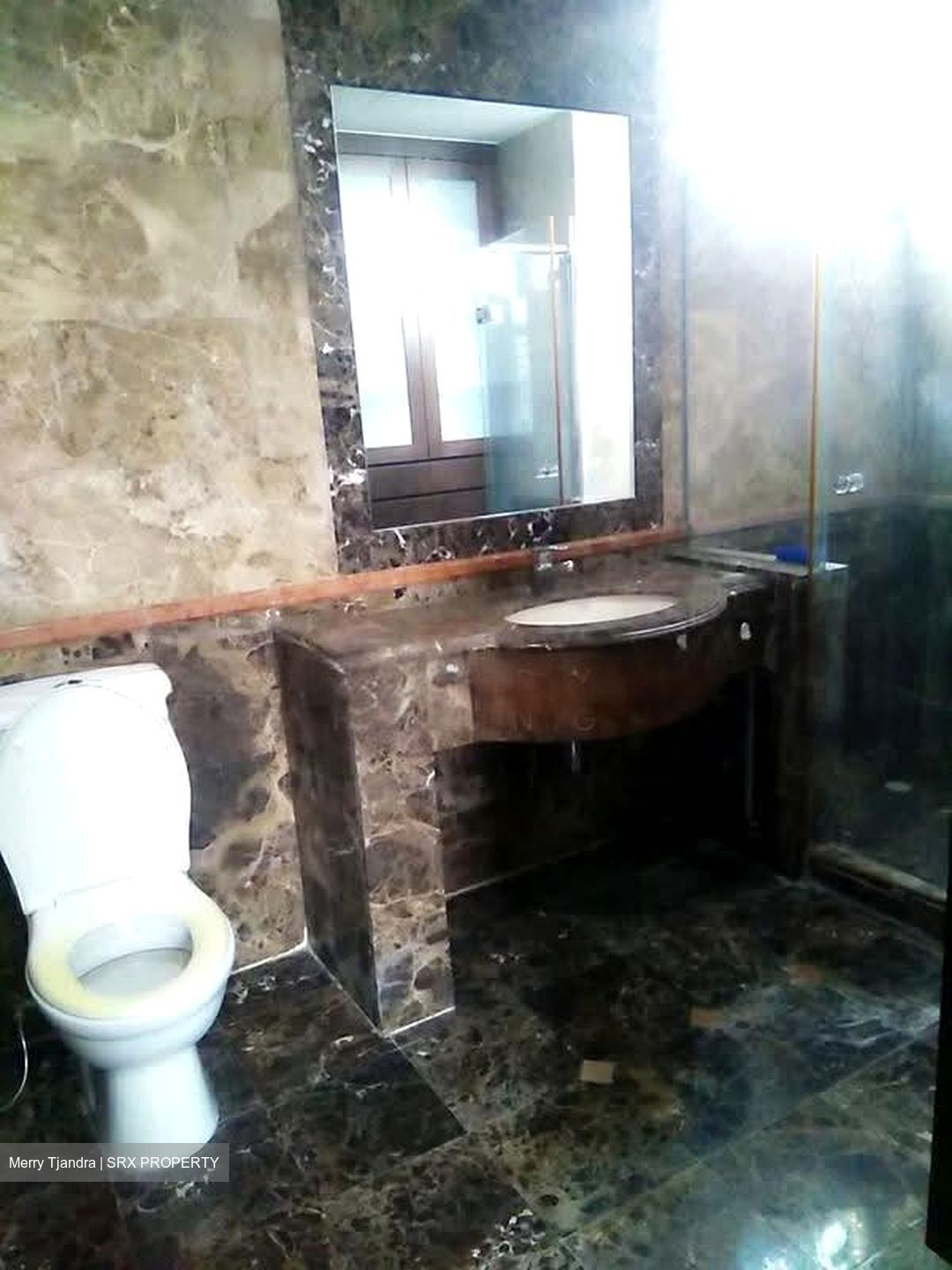 Signature Park (D21), Condominium #629930841